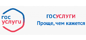 Портал Государственных услуг РФ